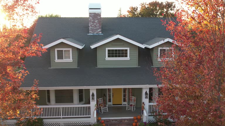 Best Roof Moss and Algae Removal  in New Albany, OH